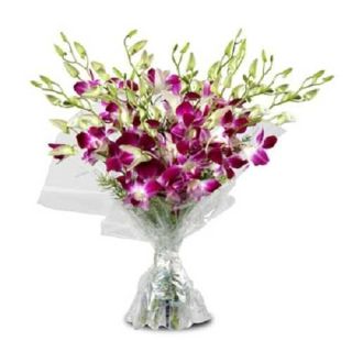 Bunch of 10 lavender orchids