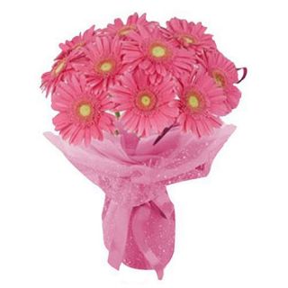 Bunch of 10 pink gerberas 