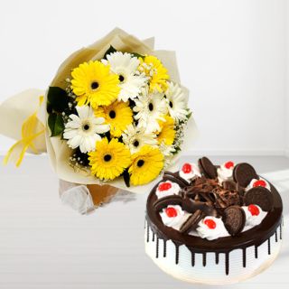 Bunch of 12 yellow and white gerberas with  black forest oreo cake 