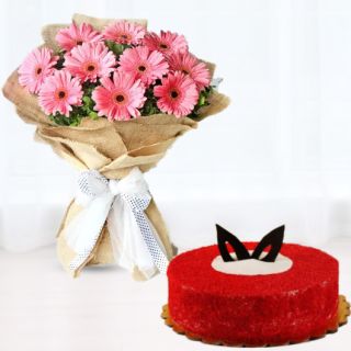 Bunch of 15 pink gerberas with red velvet cool cake 