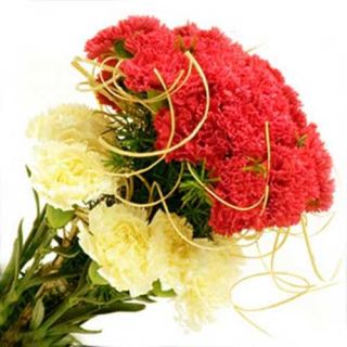 Bunch of 25 Red and yellow carnations