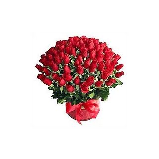 Bunch of 50 Dutch red rose with long stem