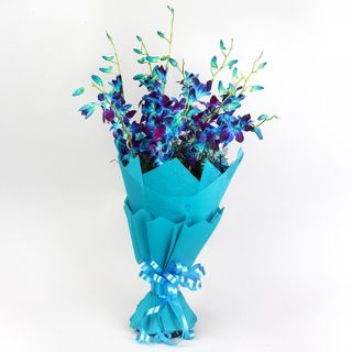 Bunch of 8 blue orchids 
