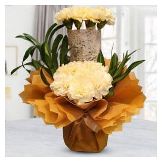 Designer Arrangement of 40 yellow carnations 