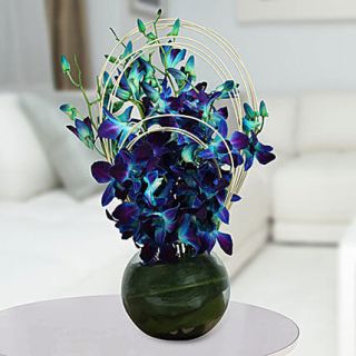 Designer Vase arrangement of Exotic blue orchids 