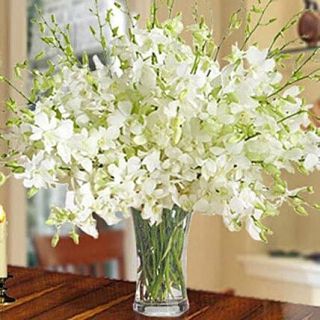 Exclusive Vase arrangement of 40 white orchids  