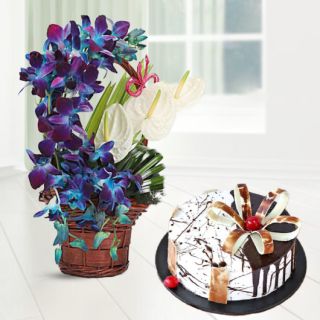 Exotic Basket arrangement of 10 blue orchids with 3 white anthuriums with choco vanilla cool cake 
