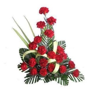 Beautiful Arrangement of 20 Red Carnations