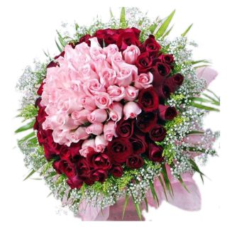 Exotic looking Bunch of 100 roses in red and pink colour combo