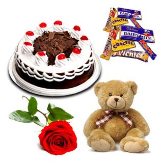 Good Combination of 1 kg black forest cake with 8 inches teddy bear with 6 pcs of assorted cadburies with single red rose