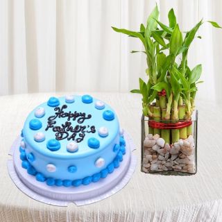 Half kg blueberry premium quality cake with 2 layer lucky bamboo 