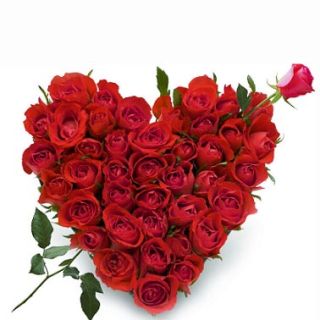 50 red roses heart shape arrangement