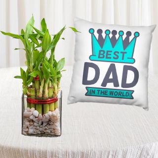 Photo cushion with 2 layer lucky bamboo plant 