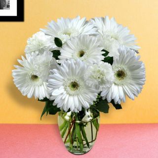 vase arrangement of 12 white gerbera