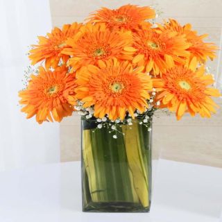 Vase arrangement of 10 orange gerberas 