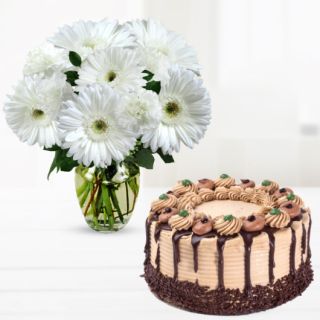 Vase arrangement of 10 white gerberas with chocolate cake 