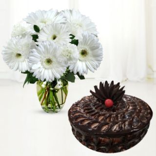 Vase arrangement of 10 white gerberas with chocolate fudge cake 