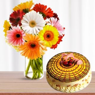 Vase arrangement of 12 mix colour gerberas with premium butterscotch cool cake