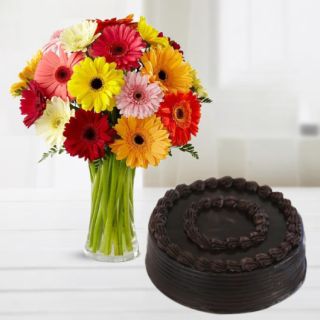 vase arrangement of 15 mix colour gerberas with chocolate cake 