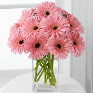 Vase arrangement of 15 pink gerberas  