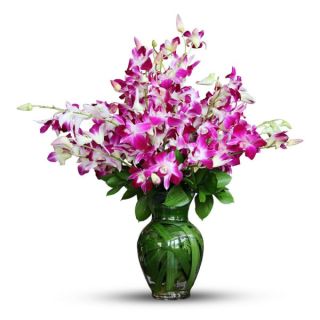 Vase arrangement of 15 purple orchids 