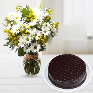 Vase arrangement of 15 white gerberas with chocolate cake 