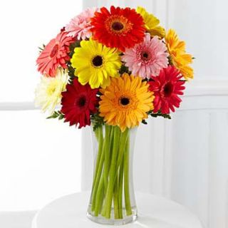 Vase arrangement of 20 mix colour gerberas 