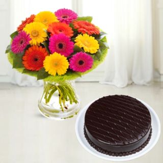 vase arrangement of 20 mix colour gerberas with chocolate cake
