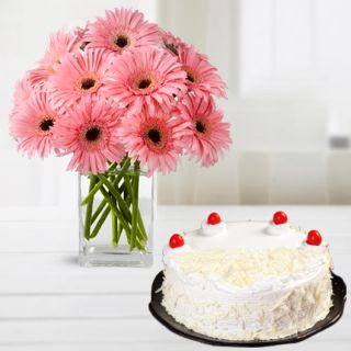 Vase Arrangement of 20 pink gerberas with white forest cool cake 
