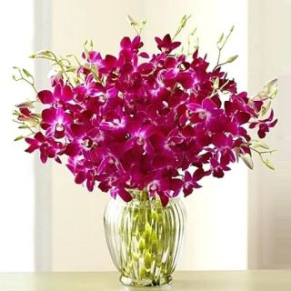Vase arrangement of 20 purple orchids 