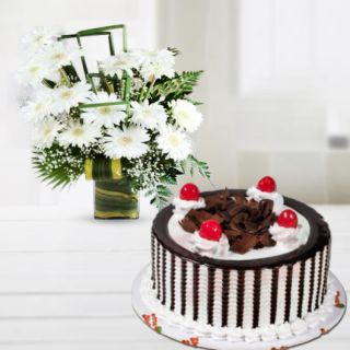 Vase arrangement of 20 white gerberas with black forest cool cake 