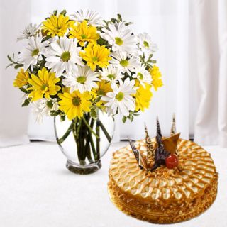 Vase arrangement of 20 yellow and white gerberas with premium butterscotch cool cake 