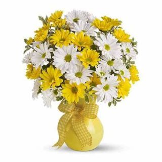 Vase Arrangement of 40 yellow and white gerberas  
