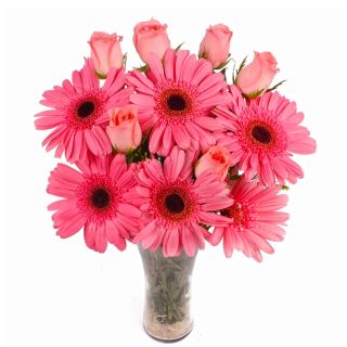 Vase arrangement of 6 pink gerberas with 6 pink roses 