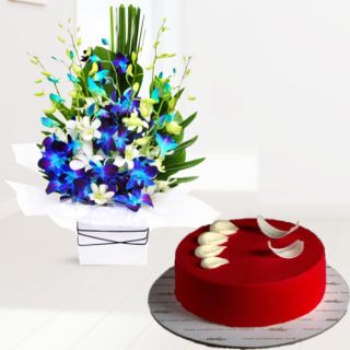 Vase arrangement of blue and white orchids with red velvet cool cake 