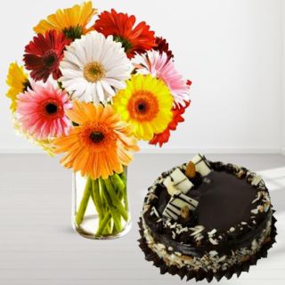 Vase arrangement of mix colour gerberas with chocolate cake 