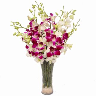 Vase Arrangement of white and lavender orchids 