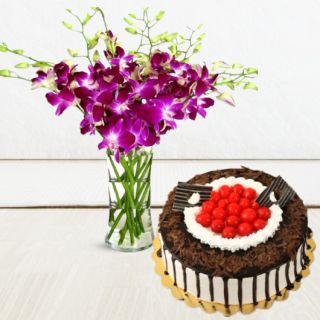 Vase arrangement of 8 purple orchids with premium black forest cake with cherry topping 