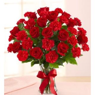 20 red carnations with 20 red roses arranged in vase