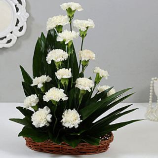 Arrangement of 20 White carnations